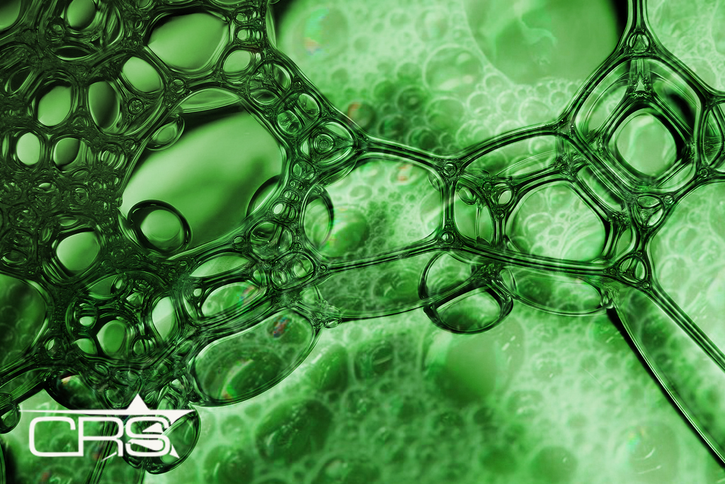 daily office cleaning crse